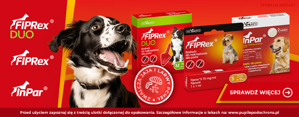 fiprex dla psów