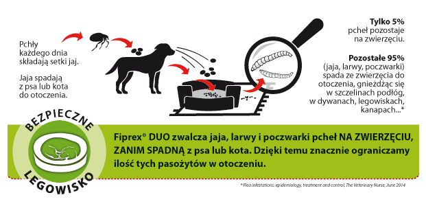 jak działa Fiprex Duo schemat