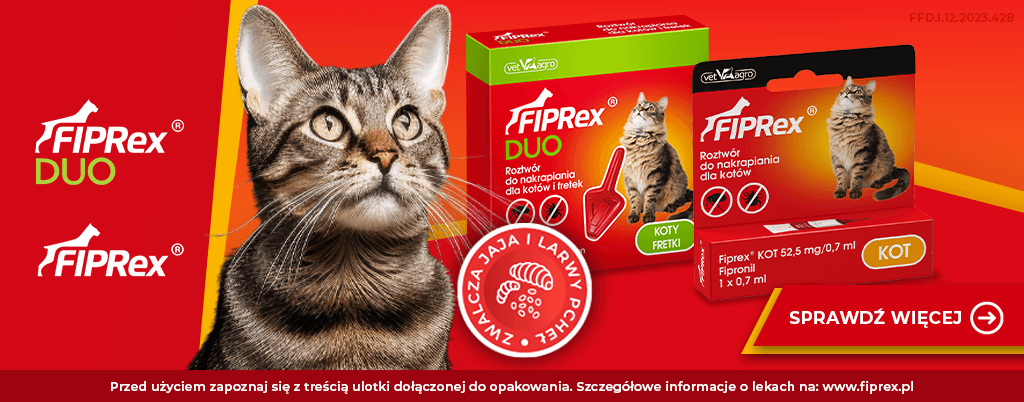 fiprex dla kotów
