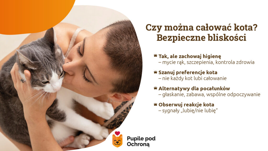 Czy można całować kota - infografika wyjaśniająca zasady bezpiecznej bliskości, higieny i szacunku dla preferencji kota.