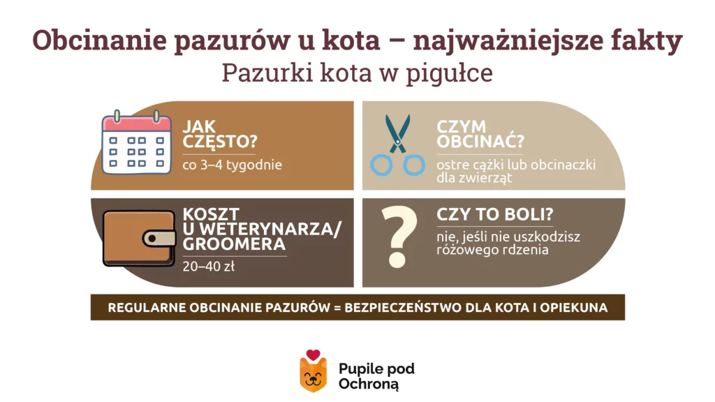 Schemat przedstawiający najważniejsze fakty dotyczące obcinania pazurów u kota