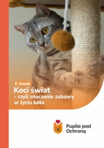 okładka ebooka koci świat