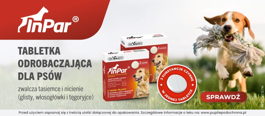 Reklama tabletek odrobaczających dla psów marki InPar, przedstawiająca biegającego psa z szarpakiem oraz opakowanie leku. Tekst informuje o zwalczaniu tasiemców i nicieni.