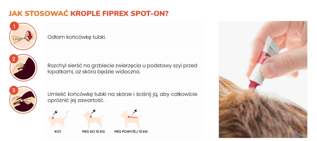 Jak stosować krople Fiprex spot-on