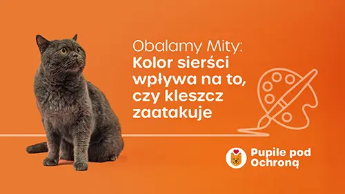Obalamy mity o pasożytach