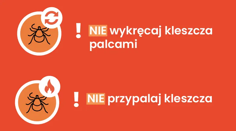 Infografika opisująca jak nie pozbywać się kleszcza