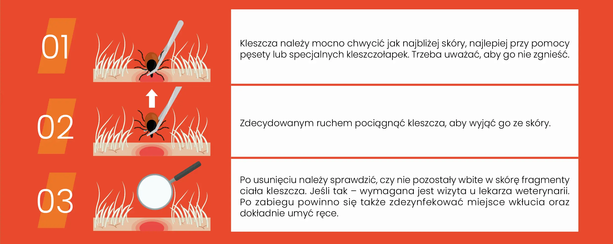 Jak usunąć kleszcza