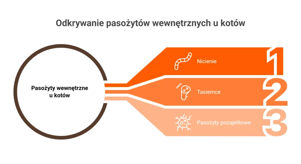 Infografika: najczęstsze pasożyty wewnętrzne a profilaktyczne odrobaczanie kota.