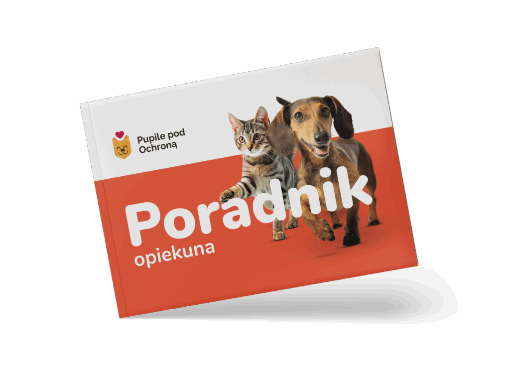 Ilustracja poradnika dla opiekuna psa i kota o