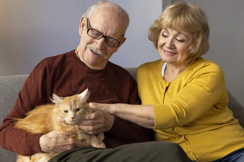 Zdjęcie ukazuje uśmiechniętych seniorów, którzy z czułością głaszczą rudego pupila. Łagodny kot Maine Coon świetnie sprawdza się jako wierny przyjaciel starszych osób, wnosząc do ich codziennego życia spokój, ciepło i kocie towarzystwo.