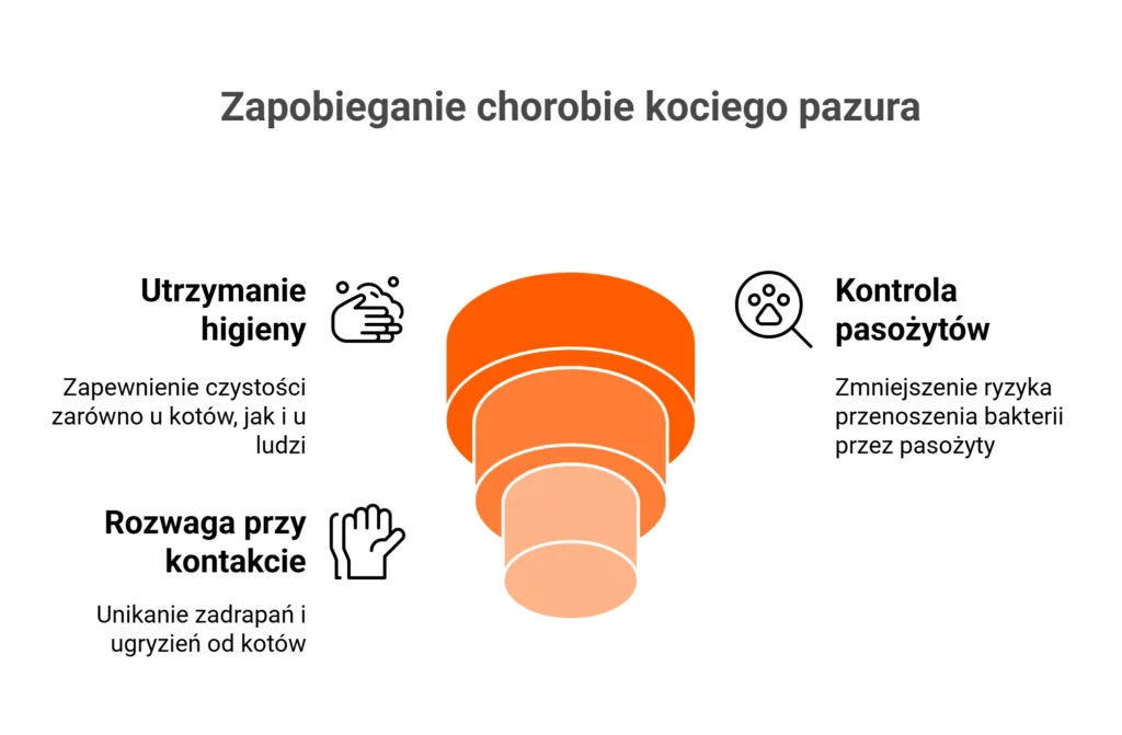Grafika symbolizująca zapobieganie chorobie kociego pazura. Kluczowa jest ochrona przed pchłami i kleszczami.
