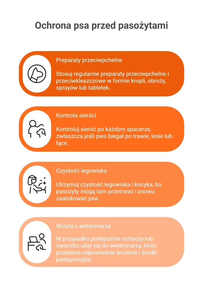 Infografika pokazująca sposoby ochrony psa przed pasożytami