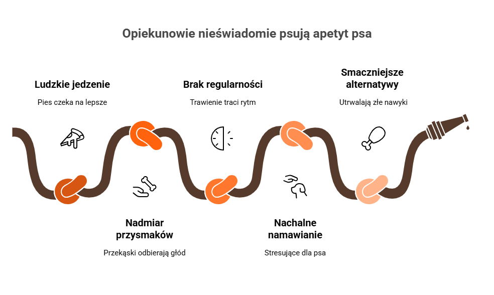 Infografika symbolizująca błędy opiekuna psujące apetyt psa