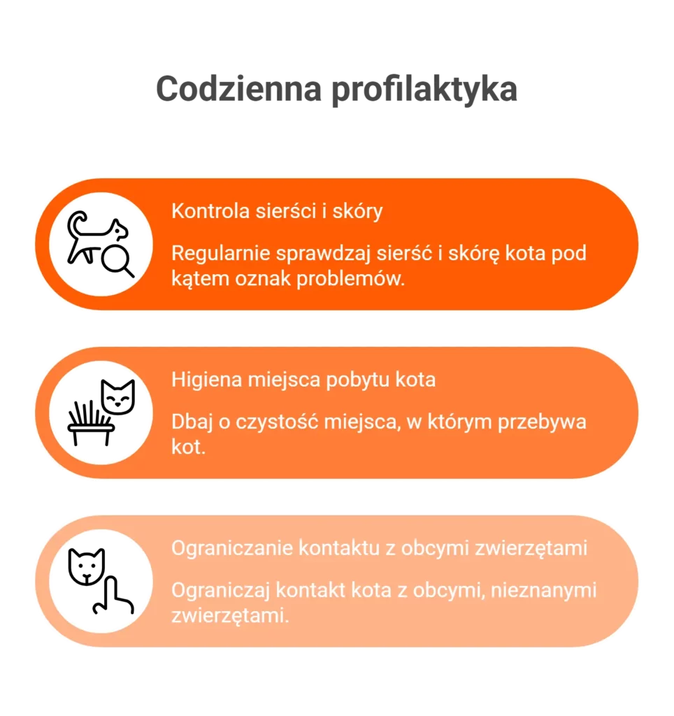 Codzienna profilaktyka i zapobieganie chorobie: mykoplazmoza u kota.